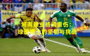 河南建业杨阔重伤：绿茵场上的坚韧与挑战