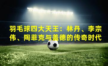 羽毛球四大天王：林丹、李宗伟、陶菲克与盖德的传奇时代