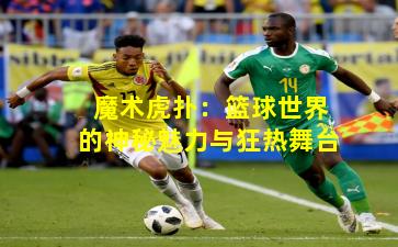 魔术虎扑：篮球世界的神秘魅力与狂热舞台