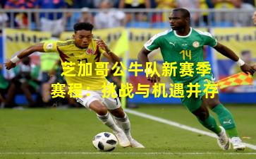 芝加哥公牛队新赛季赛程：挑战与机遇并存